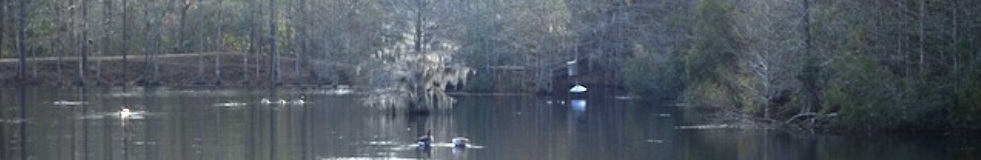 The Abbey Nature Preserve trails