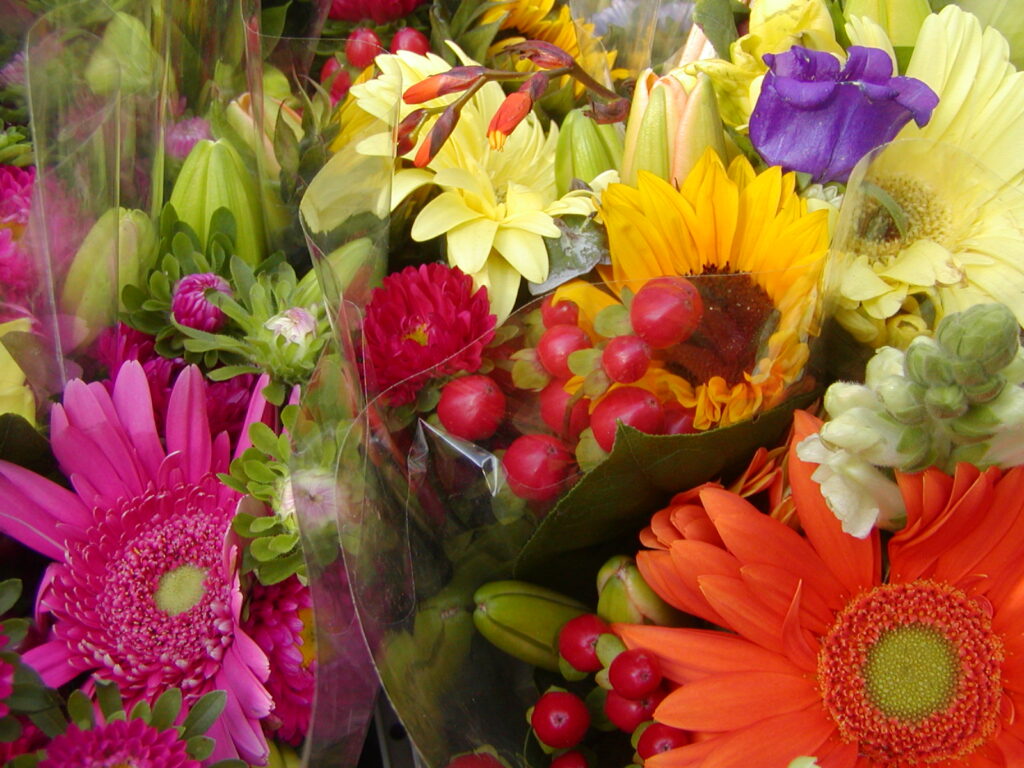 A bouquet of brightly coloured cut flowers