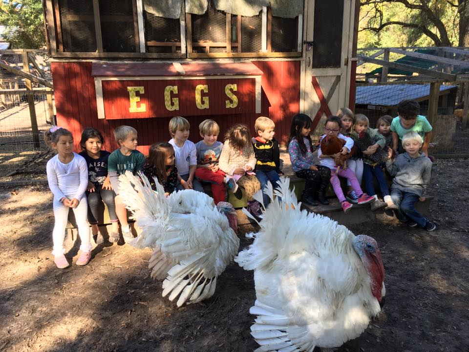 A school group seated by the chicken coop with two white chickens