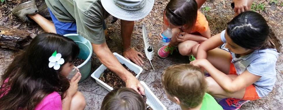 Children examining a tray of finds with a camp leader