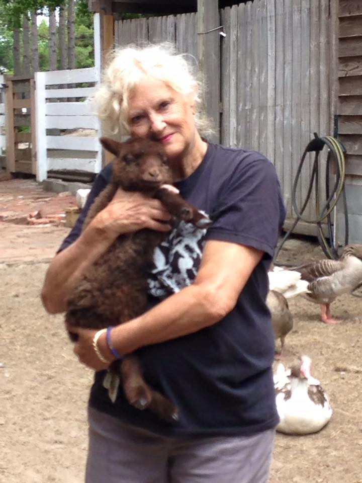 A volunteer holding a hen outside a barn